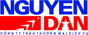 Nguyen Dan